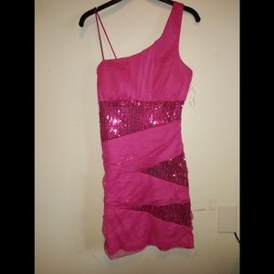 Pink Fitted Dress